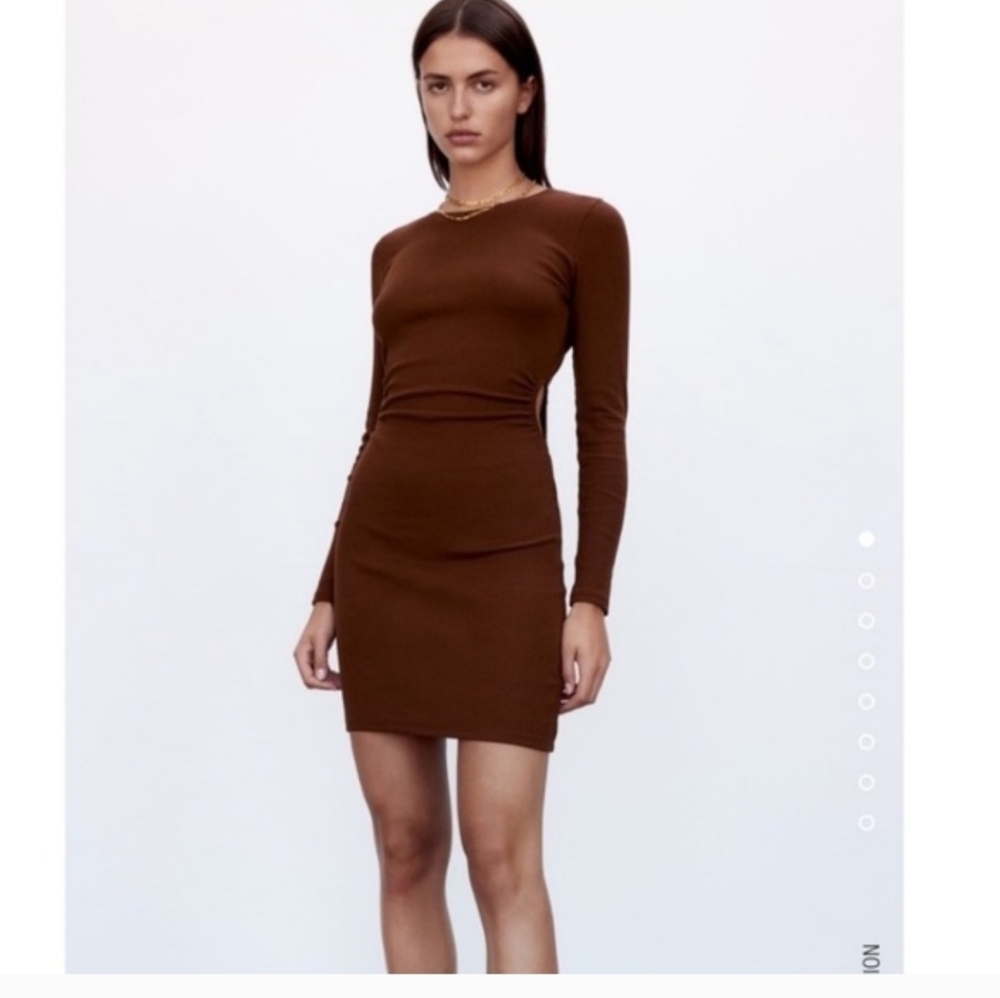 Zara Long Sleeve Brown Dress
